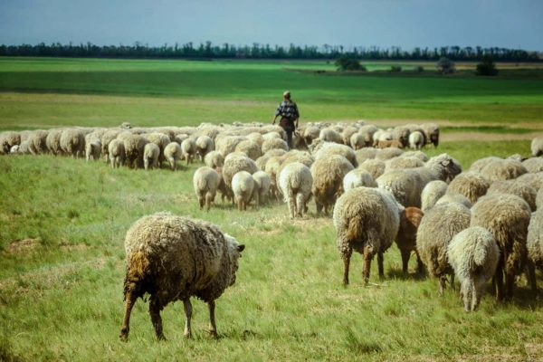 Tajemniczy ludzie, którzy przejęli Europę tysiące lat temu, pochodzili z Ukrainy